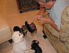 And Baby Allie Makes Four-dadand4girls.jpg