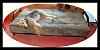 Doggies love their new bed !-022-cropc.jpg