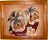 Can you guess the yorkies?-sailor-magic-resized-copy.jpg