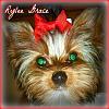 New Pics of Rylee <3-result4.jpg