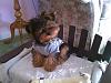 Cotton Coated Yorkshire terrier?-phplselq6pm.jpg