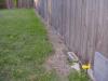 Please Do Not Use Electric Fences and Shock Collars-fence-002.jpg