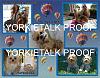 YorkieTalk 2013 Calendars - ORDER TODAY!-14-july.jpg