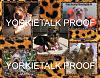 YorkieTalk 2013 Calendars - ORDER TODAY!-22-november.jpg