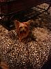 Bed: soft or firm?-1246ee0660f32f0989c9f8444b38fa98.jpg