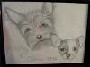 My daughter drew my babies for me for Christmas!-meg-drawing-2.jpg