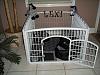 would love to see your doggy bed set up...-lexis-20apartment.jpg
