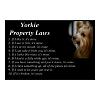 Silky property laws-yorkie_poster-rfd1e8edbcea14eaab77810fae71a452d_20mw_400.jpeg