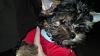 Puppy Countdown - One more day and-20130121_redtee.jpg