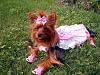 Any Newbies Thinking about Becoming Donating Members?-yazmin-divine-07-24-12.jpg