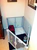 would love to see your doggy bed set up...-pen-set-up.jpg