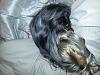 My yorkie's hair appears thin and not growing fast?-20130202_191016.jpg