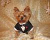 2013 Valentine's Day Ball Couples Submission Thread-buster-brown-2013-yt-snowflake-ball-.jpg