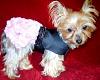 2013 Valentine's Day Ball Couples Submission Thread-dscn3693-200x159-.jpg