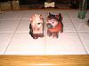 YorkieTalk Fundraiser Raffle 2013! RAFFLE TICKETS ON SALE NOW!-img_2881.jpg