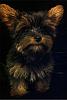 First time Yorkie owner with a few questions-max-palm-high-320x480-.jpg