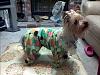 updated pics of ms diva zooey-1994.jpg