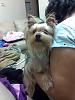 updated pics of ms diva zooey-814.jpg