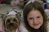How old is your Yorkie (s)-samidog-0101.jpg