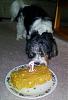 Happy First Birthday Wallee!!-img_2013032738923.jpg