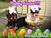 Happy Easter Everyone!!!-user19256066_pic126579_1364679460.jpg