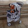 Show Me Your Strollers!-yazmin-divine-05-03-12-1.jpg