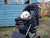 Show Me Your Strollers!-resize.jpg