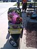 Show Me Your Strollers!-545567_449439975096711_2080120867_n.jpg