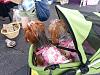 Show Me Your Strollers!-185125_446892765351432_665832089_n.jpg