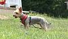 Am I feeding him enough?-img_9481-1.jpg