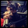 Ridin' with mommy ;)-image.jpg