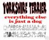Yorkshire Terrier Property Laws-yt.jpeg