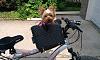 Bike riding-994270_10102215195247847_802862105_n.jpg