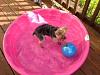 Do You Have One?-lexi-pool-6-2013.jpg