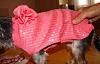 Cold Shoulder Treatment-11-pink-shocker-album.jpg