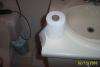 Yorkie Vs Toilet Paper-dcp_2253.jpg