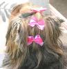 Grooming The Yorkshire Terrier - #1 Top Knot-3bows-chanel.jpg
