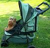 Stroller Question-yt-stroller-pic.jpg