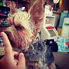 Anyone else bother their yorkie?-62511c20-8aa6-4e39-a5a6-3756f7bdc79e.jpg