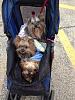 Car seat.-img_2189.jpg