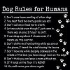 Cute-dog-rules-humans.jpg