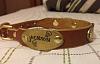 Do you use a collar just because?-photo1_zps95396784.jpg
