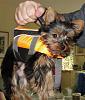 Gina's Life Vest-ginavest3-423x500-.jpg