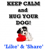 Good advice for stress-keep-calm-hug-your-dog.png