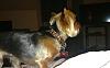 Do you use a collar just because?-img_0141.jpg