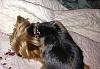 Do you use a collar just because?-img_0149.jpg
