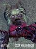 Zombie Yorkie!-image.jpeg