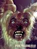 Zombie Yorkie!-image.jpg