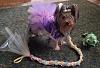 YorkieTalk Ninth Annual Halloween Contest (2013) - Submission thread!-rapunzel1.jpg