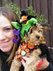 YorkieTalk Ninth Annual Halloween Contest (2013) - Discussion thread!-truman-costume.jpg